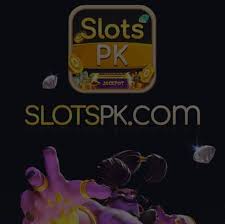 salotpk security warning screen